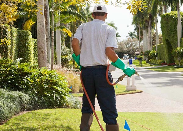 About Paramount CA Pest Control Pros